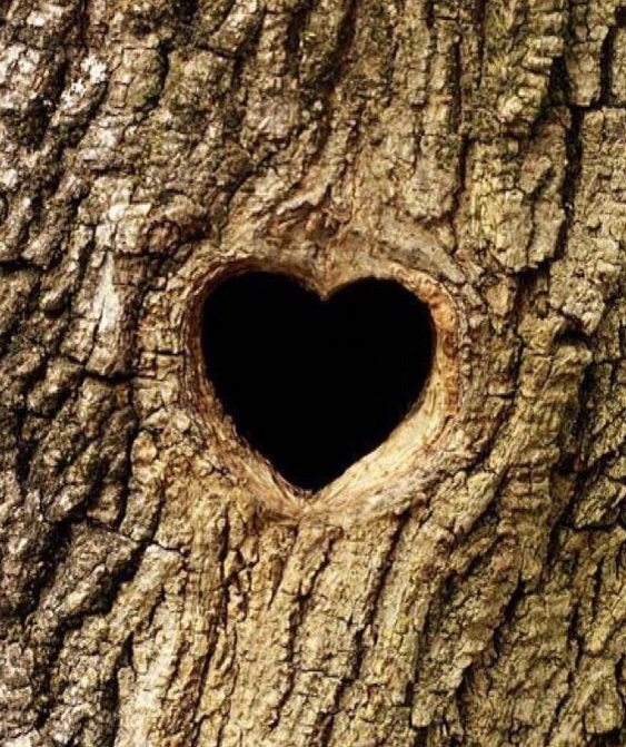 Photo of Heart Tree with Your Name