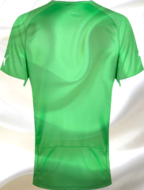 Photo of write your name and Your favorite number on gif Algeria shirt