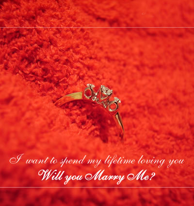 Will u marry me quotes