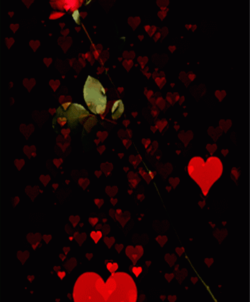 A Rose for You animated