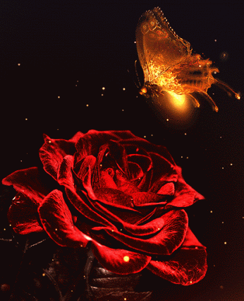 Animated red rose