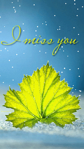 Photo of I Miss You animated Gifs