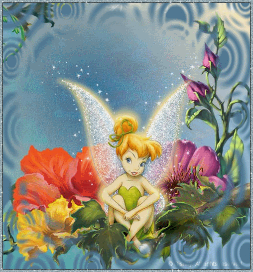 Photo of little fairy