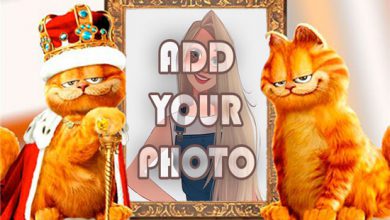 Photo of cats king kids cartoon photo frame