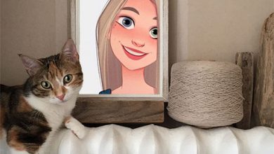 Photo of selfie with cat misc photo frame