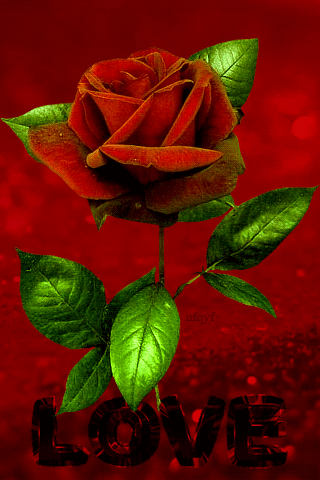 Rose - write name on gif lovers heart glitter gif image