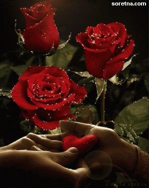 roses a5aa8aee904e382 - waiting girls