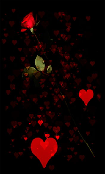 A Rose for You animated - love you frame romantic frame