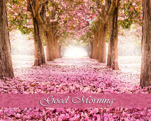 Good Morning flowers - merry christmas picture frame