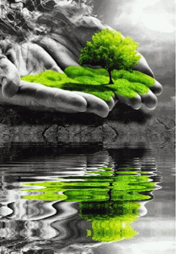 Tree on hands animated gif - write your first letters from yours name on gif moving hearts
