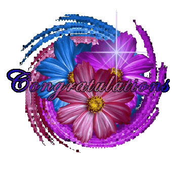 congratulations - Write your name on Happy Birthday