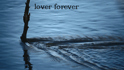 Photo of write your names on water lover forever gif photo
