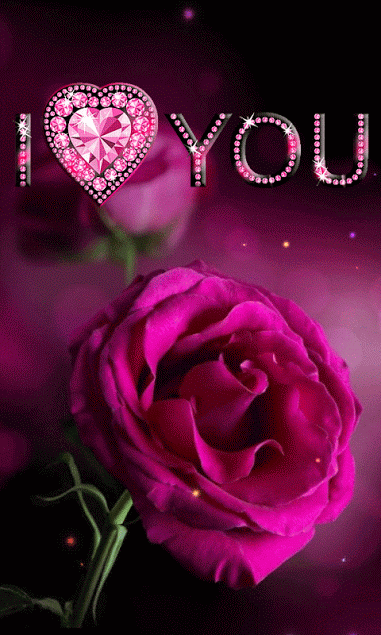 purple rose gif - write you love name on lover wall