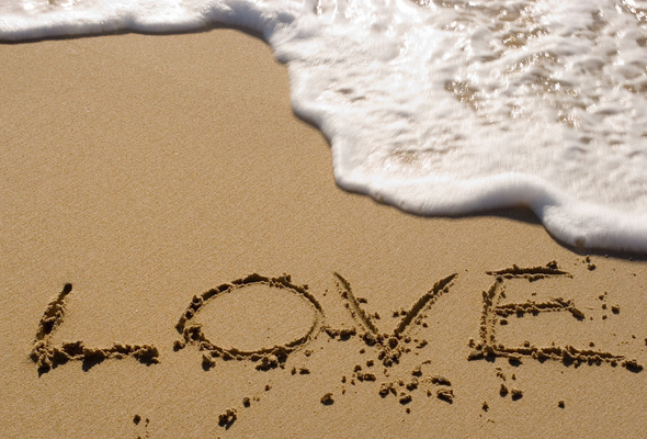 sea love name - write your name on lovely bear gif pictures