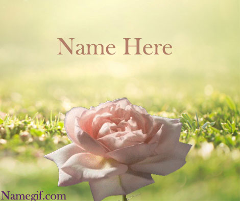 Photo of write name on gif opening rose write on gif