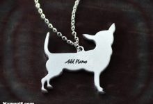 add name on Jewelry silver dog collar with your name 1 220x150 - write your name on your dog mug