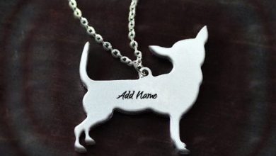Photo of add name on Jewelry silver dog collar with your name
