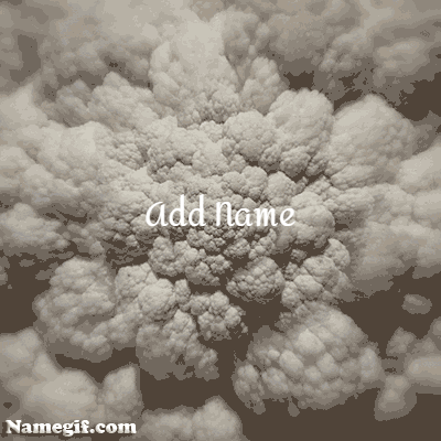 add name on speedy clouds - write your names on sunflowers image