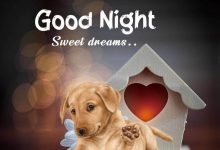 best good night photo 220x150 - hungarian national day wish image with name