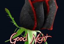 do not gentle into that good night photo 220x150 - write a character on smiley with heart shaped eyes image