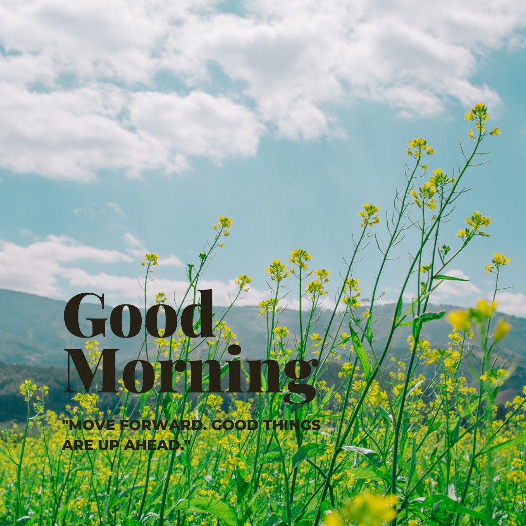 good morning Go ahead you have a lot to find photo - good morning Go ahead you have a lot to find photo