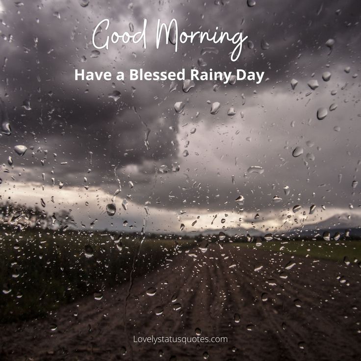 good morning I wish you a blessed rainy day photo - good morning I wish you a blessed rainy day photo
