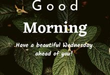 good morning I wish you a nice Wednesday 220x150 - Humorous birthday cards photo