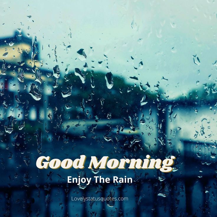 good morning enjoy the rain photo - good morning enjoy the rain photo