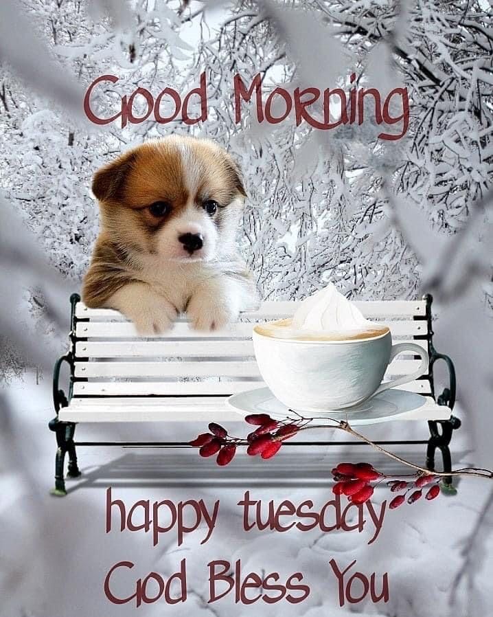 good morning happy tuesday god bless you photo download - good morning happy tuesday god bless you photo download