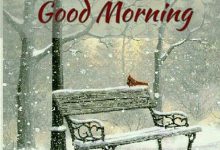 good morning snow photo 220x150 - i love you anne photo