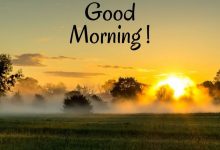 good morning wishing photo make it awesome day 220x150 - add text to mug of love gif images