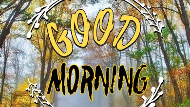 Photo of good morning woods photo