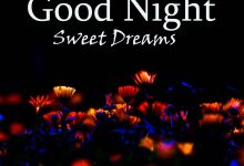 good night and sweet dreams my love photo 220x150 - the green fairy kids cartoon photo frame