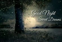 good night good night photo 220x150 - Write name on happy Norooz day