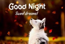 good night have a sweet dreams photo 220x150 - write name on gif good morning my love