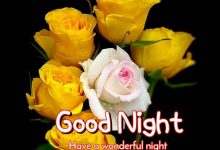 good night in tamil love photo 220x150 - Write name on I Love You on red heart