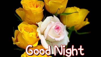 Photo of good night in tamil love photo