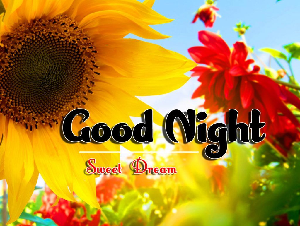 good night in tamil photo – Namegif.com