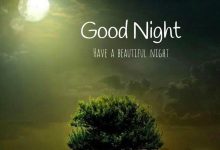 good night india photo 220x150 - love you to the moon and back frame romantic frame