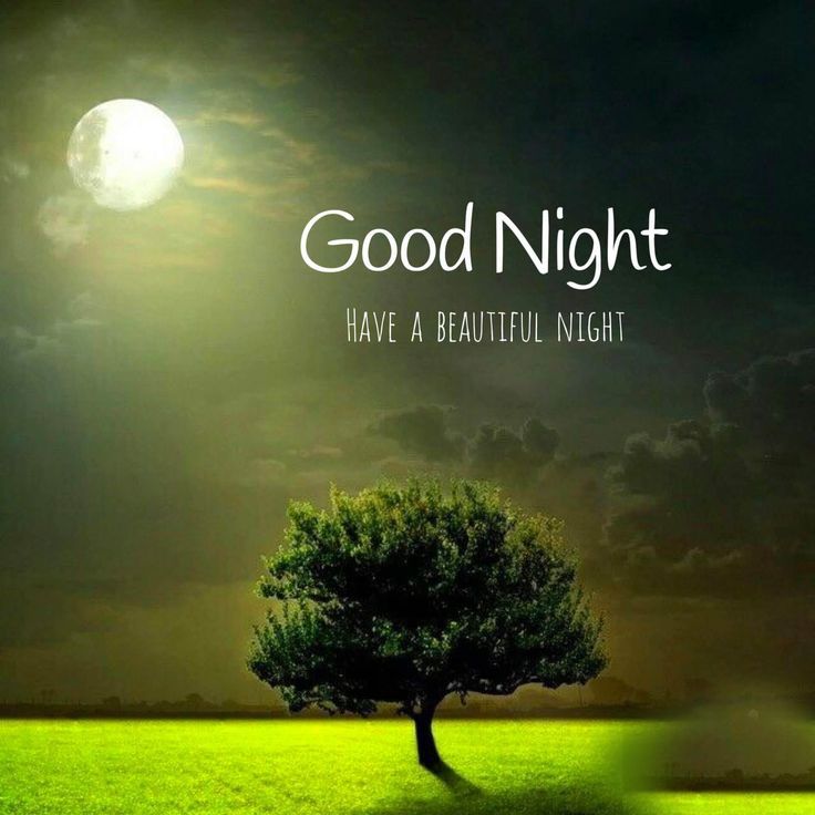 good night india photo - good night india photo