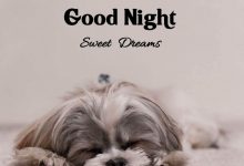 good night love in hindi photo 220x150 - playing cards misc photo frame