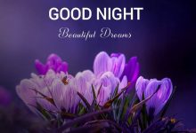 good night malayalam photo 220x150 - because someone we love is in heaven picture frame romantic frame