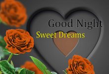 good night son photo 220x150 - write your name on gif red heart
