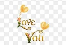 i love you too meaning photo 220x150 - i love you in indian languages photo