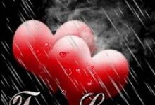 i love you wife photo 220x150 - write a character on smiley with heart shaped eyes image