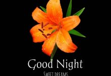 night sweet dreams photo 220x150 - we love you photo frame romantic frame