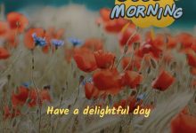photo good morning have a beautiful day 220x150 - hook misc photo frame