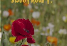 red rose good morning photo 220x150 - write your lover name on sweet angle