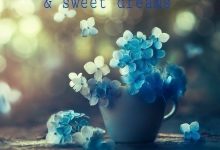 sleep well and sweet dreams photo 220x150 - i miss you quotes for her photo