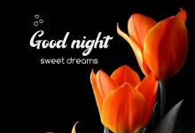 the good night photo 220x150 - good morning Treat every day as if it were life photo